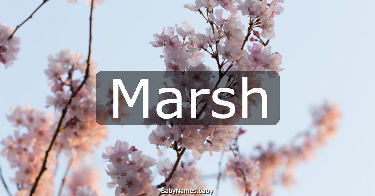 Marsh