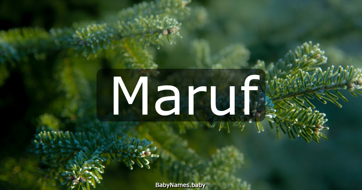 Maruf