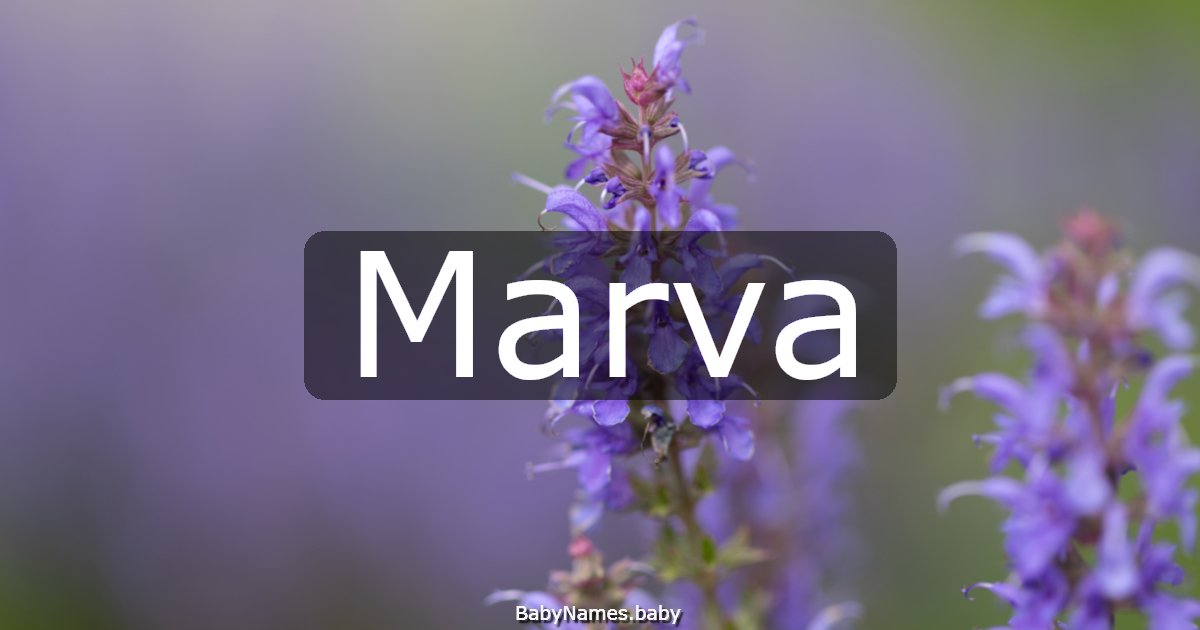Marva