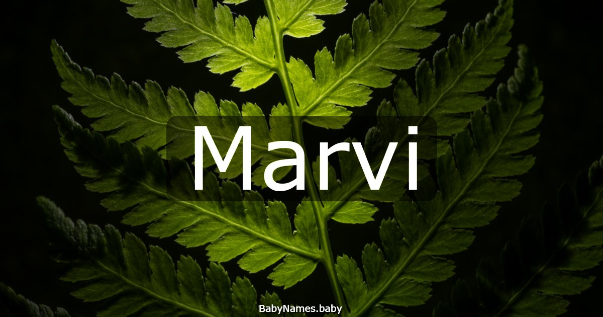 Marvi