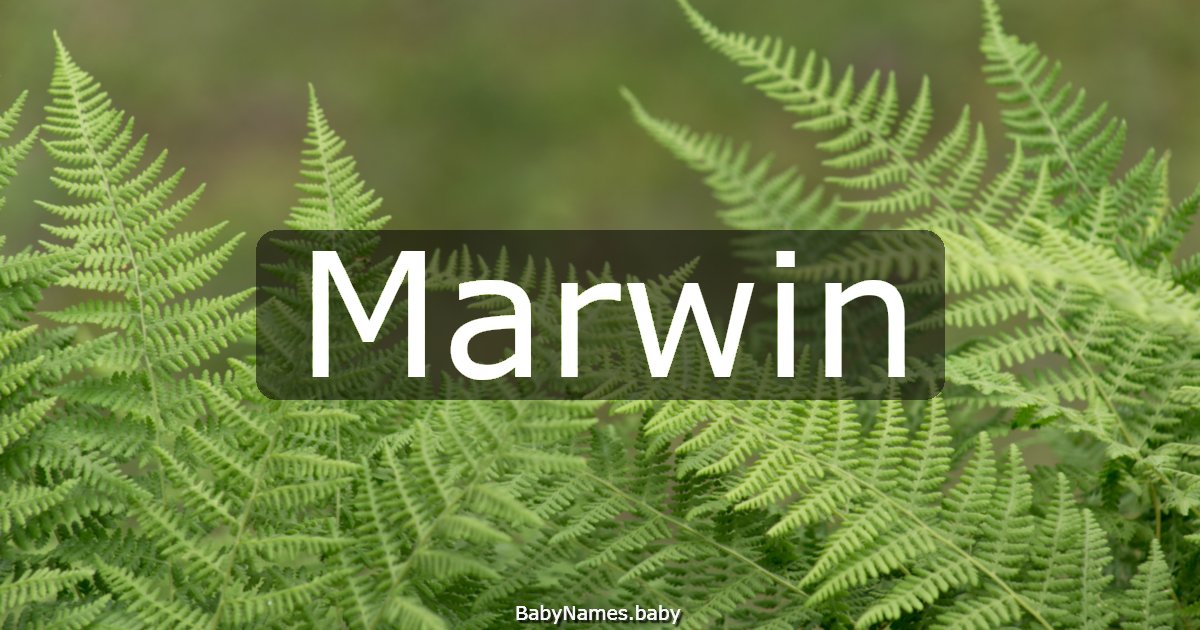 Marwin