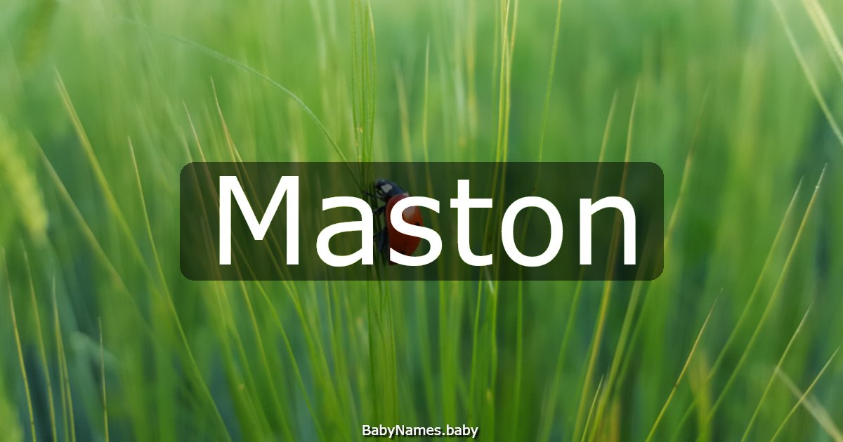 Maston