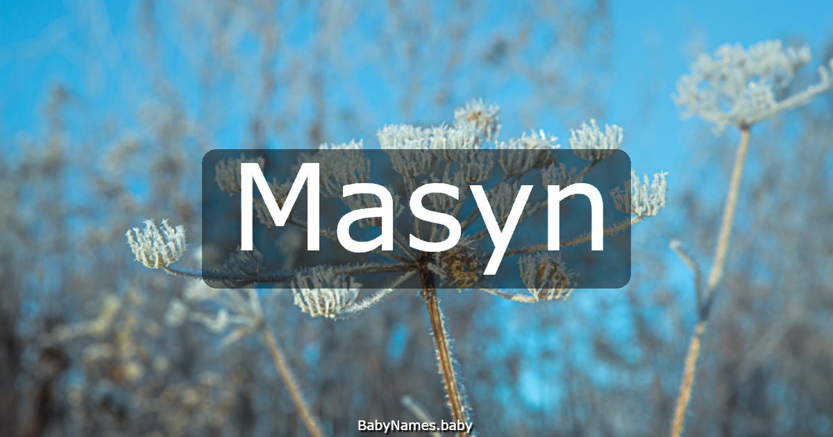 Masyn