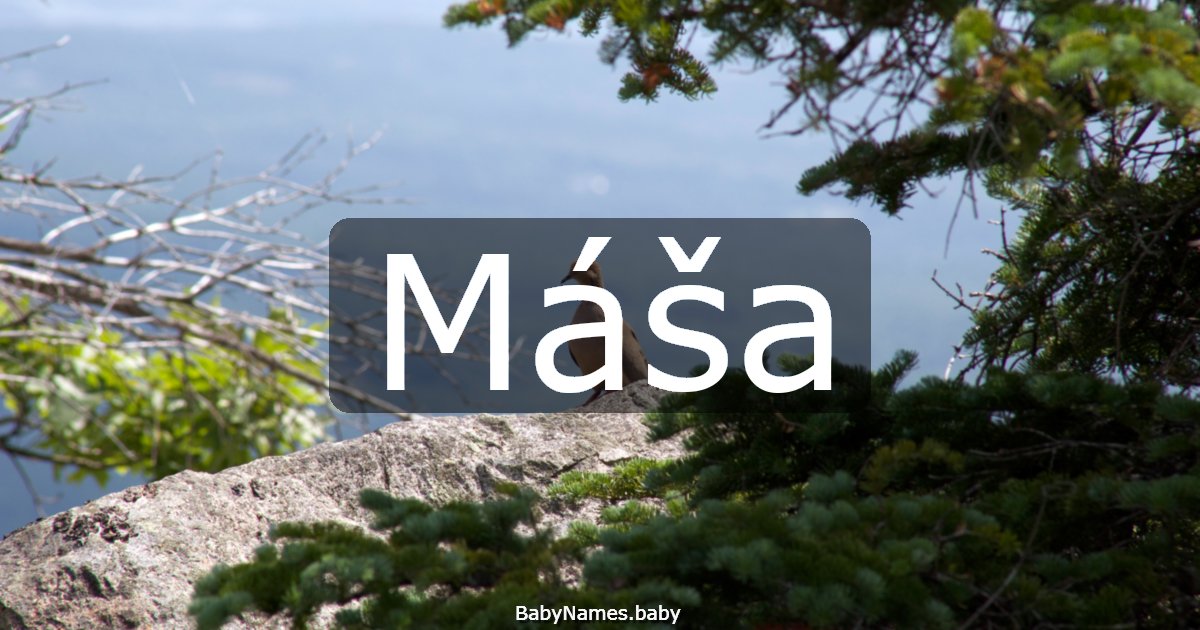 Máša