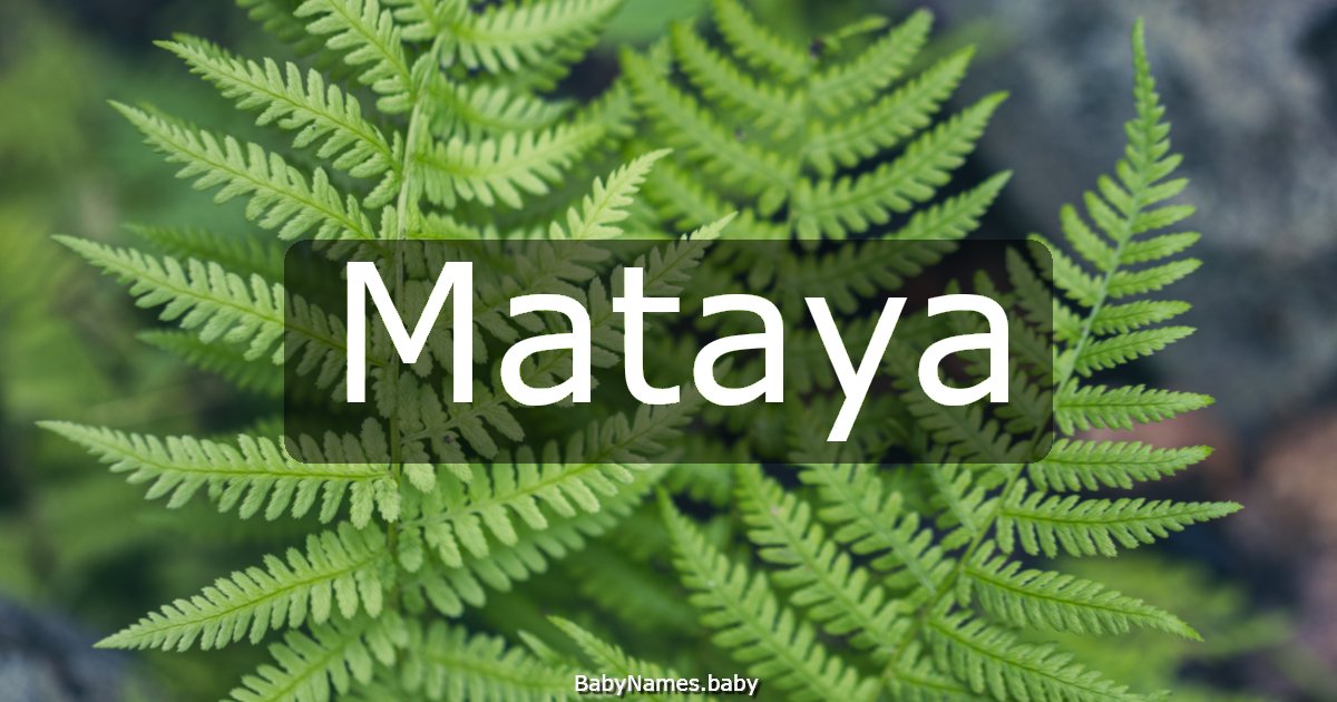 Mataya