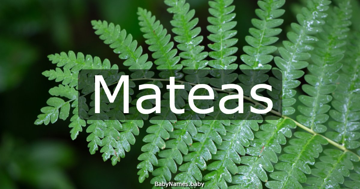 Mateas