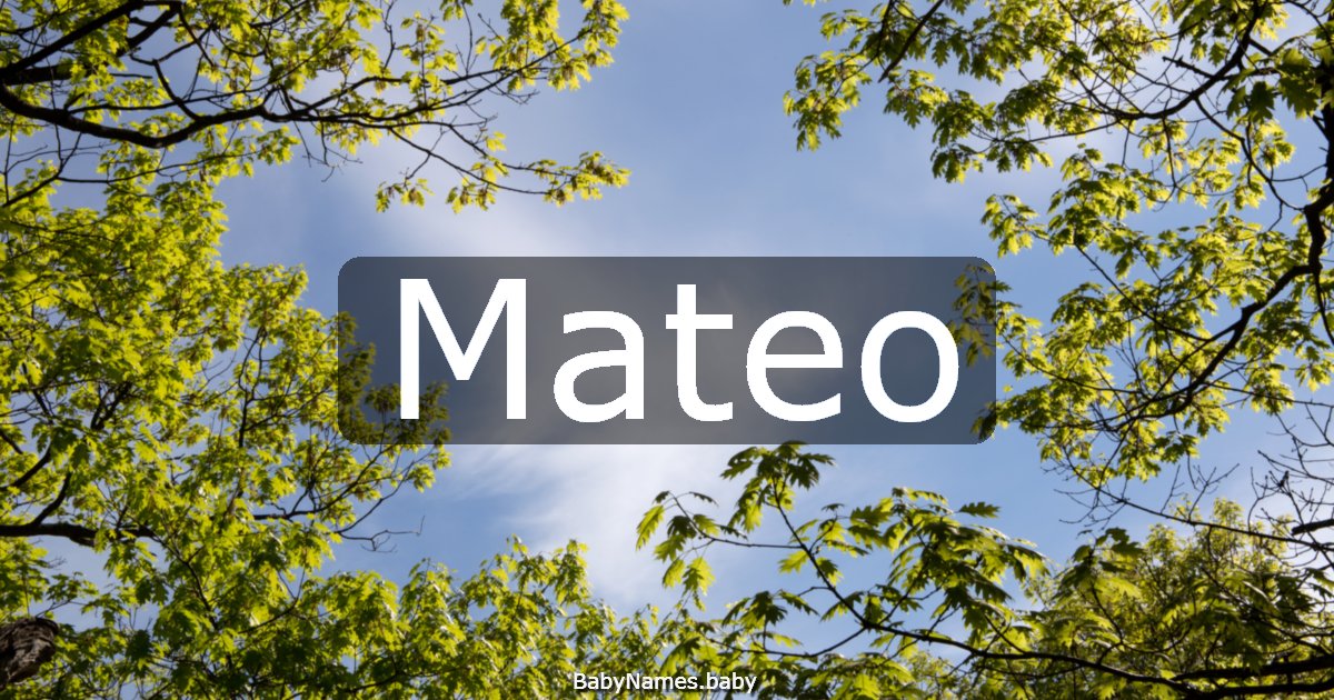 Mateo