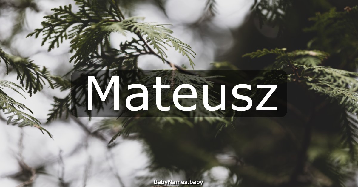 Mateusz
