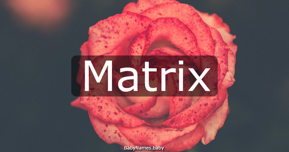 Matrix