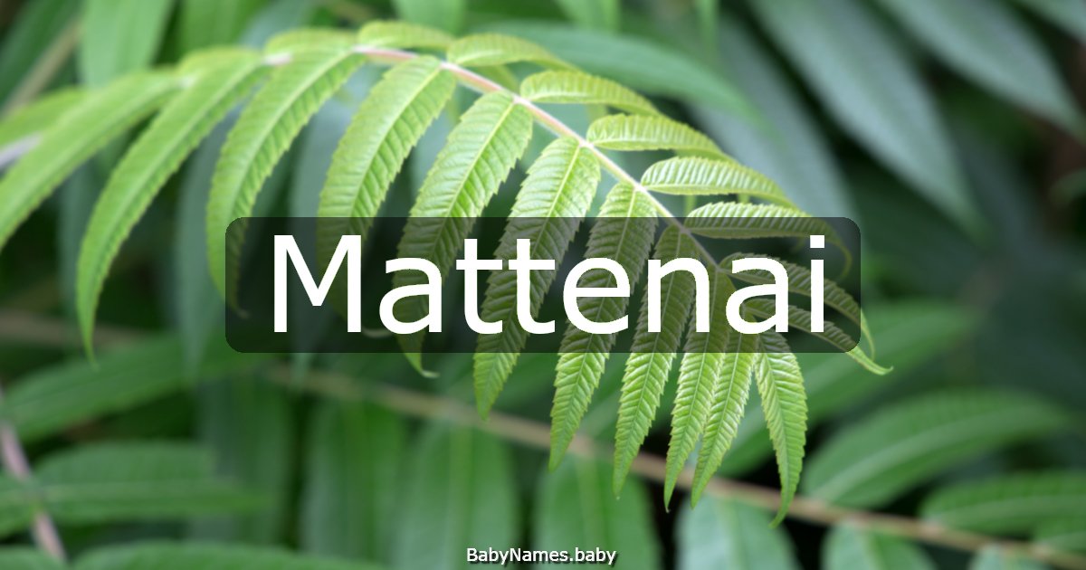 Mattenai