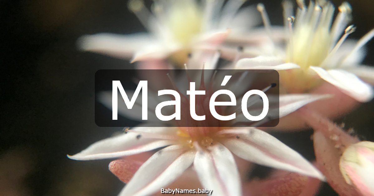 Matéo