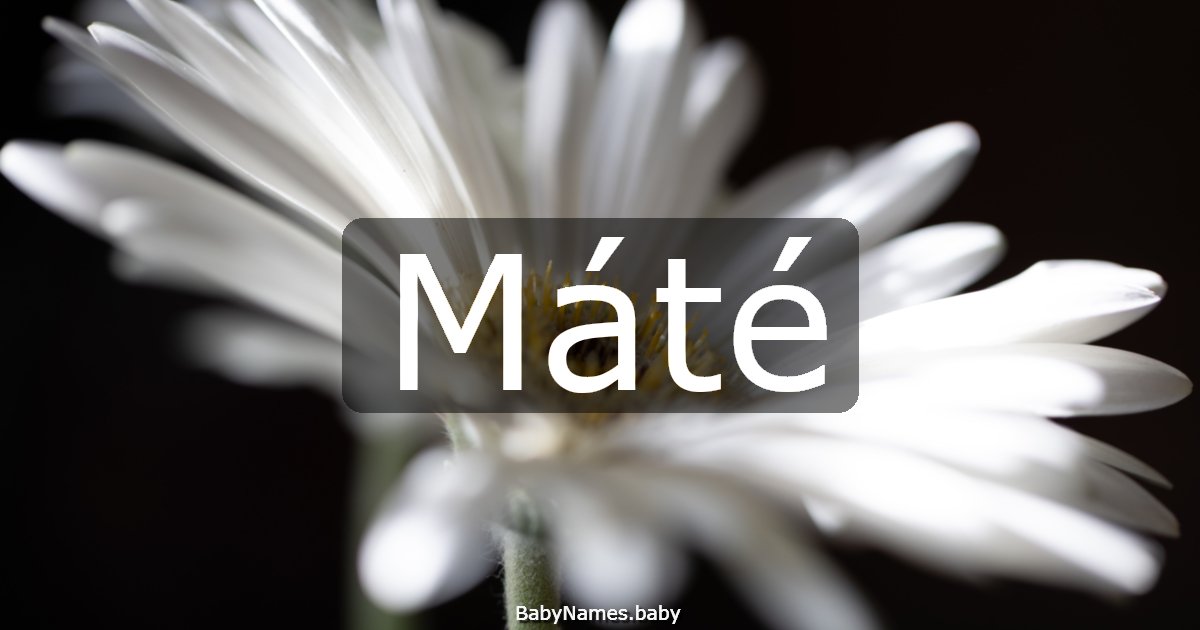Máté