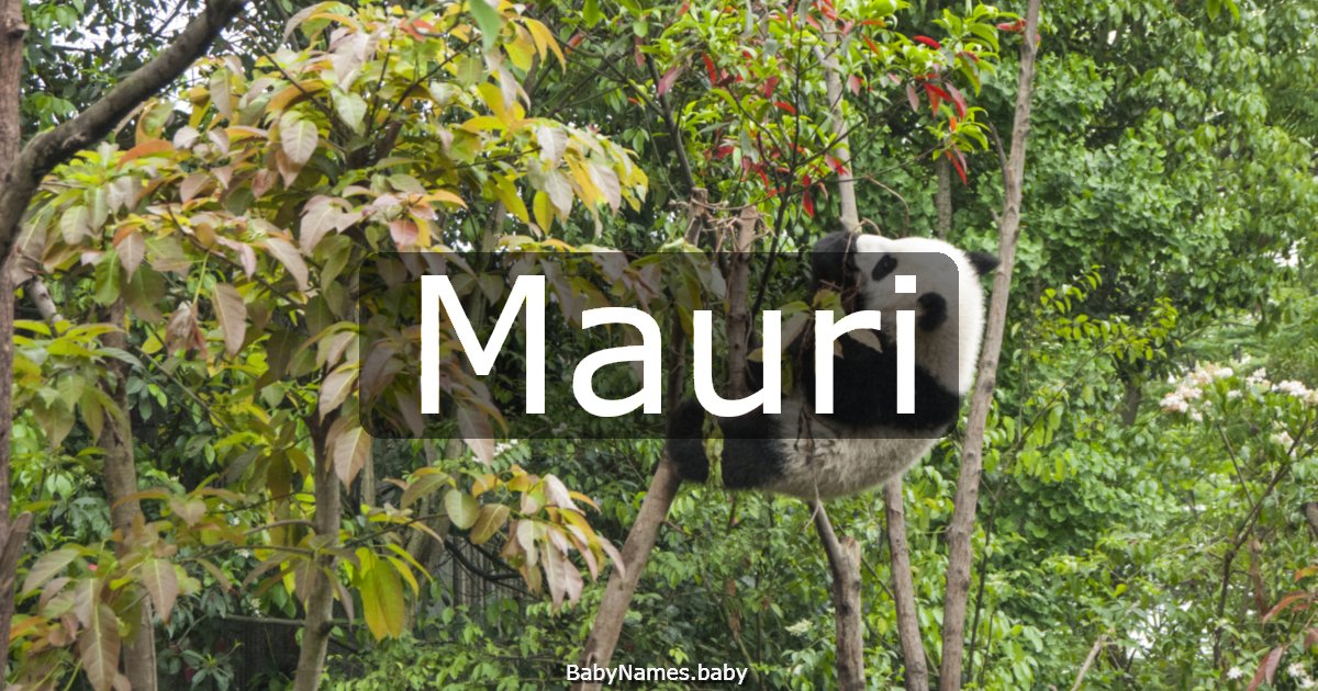 Mauri