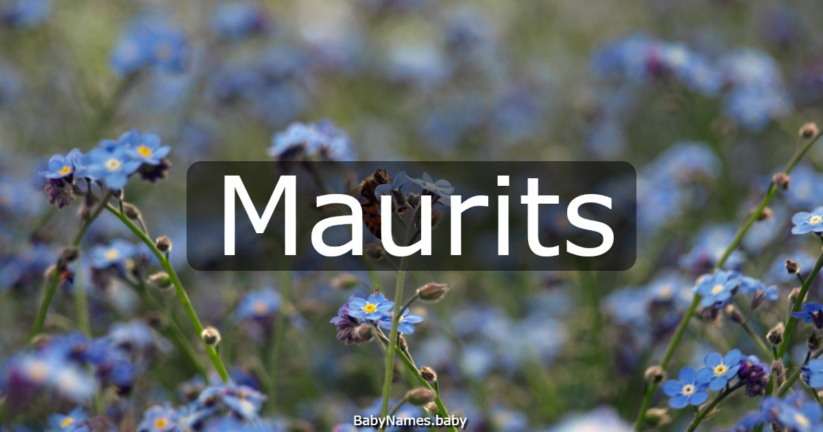 Maurits