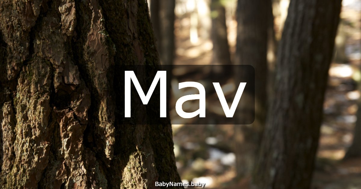 Mav