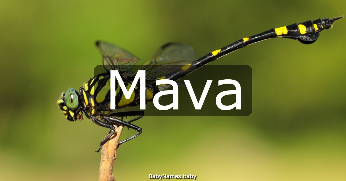 Mava