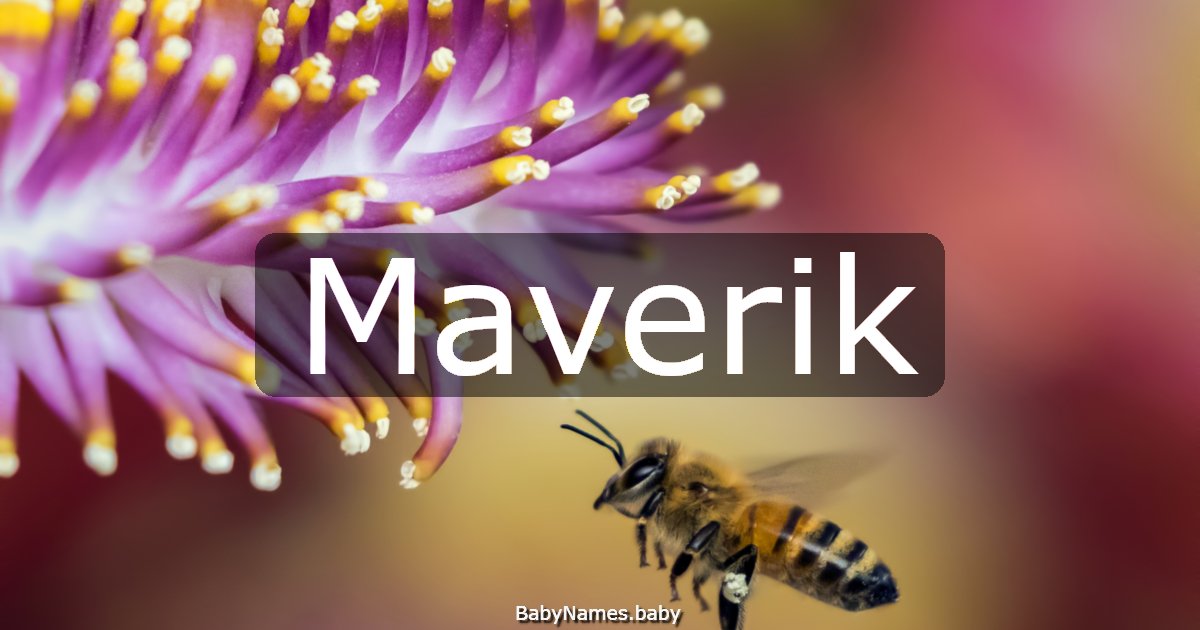 Maverik