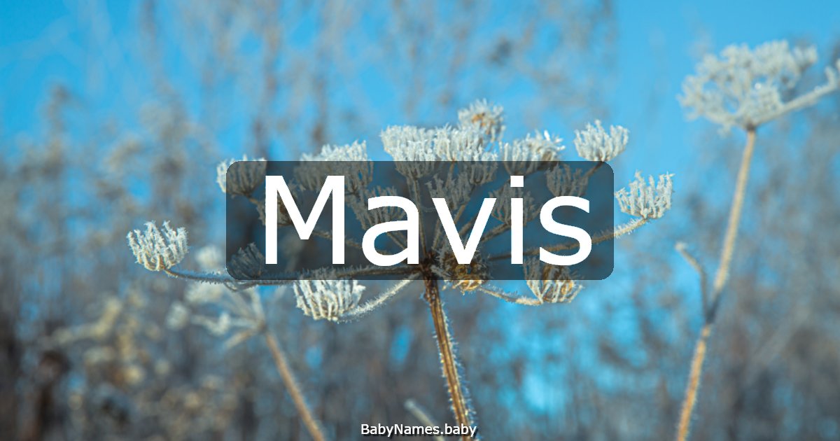 Mavis