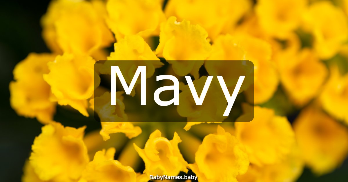 Mavy