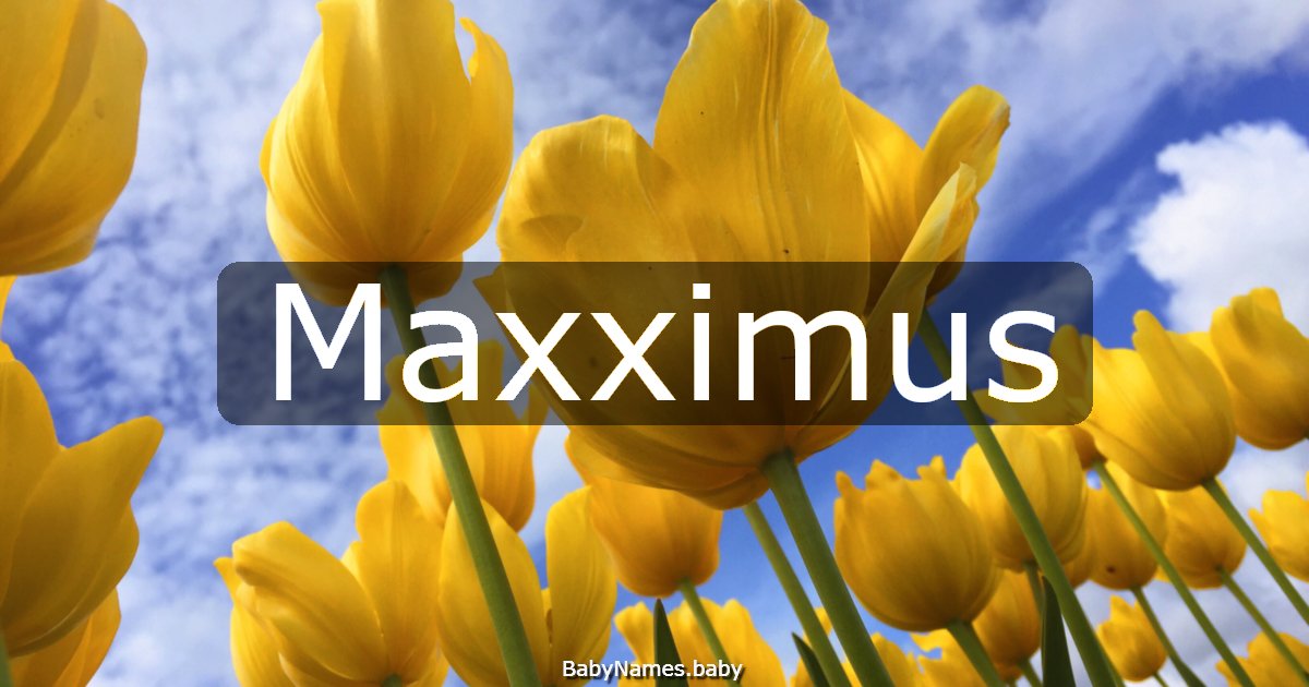 Maxximus