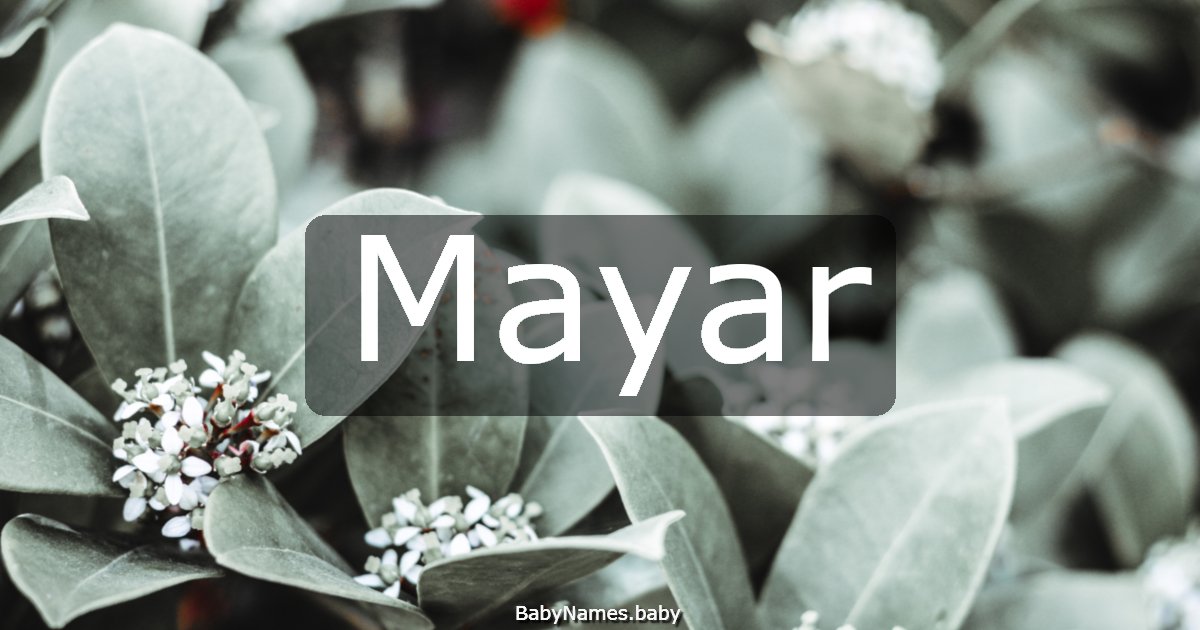Mayar