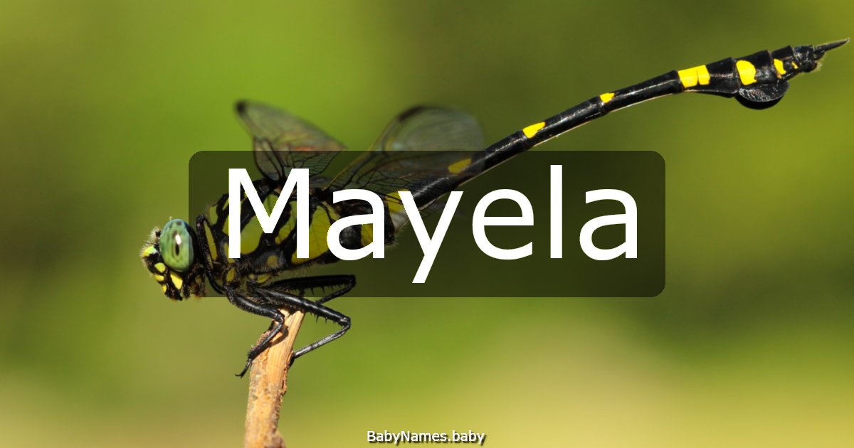 Mayela