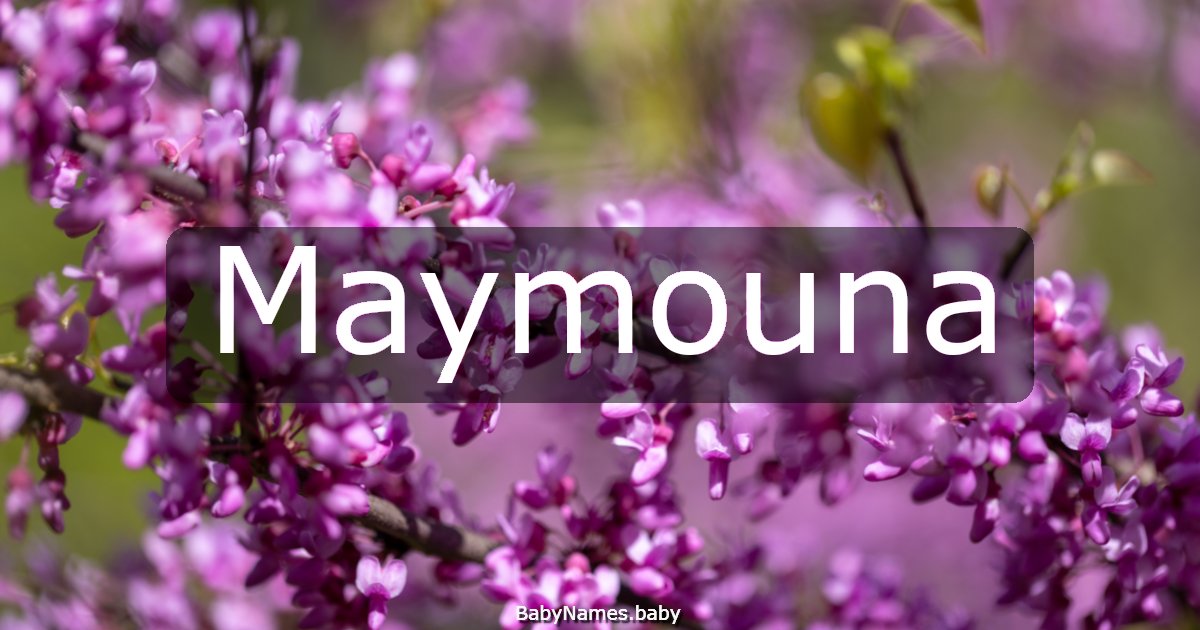 Maymouna