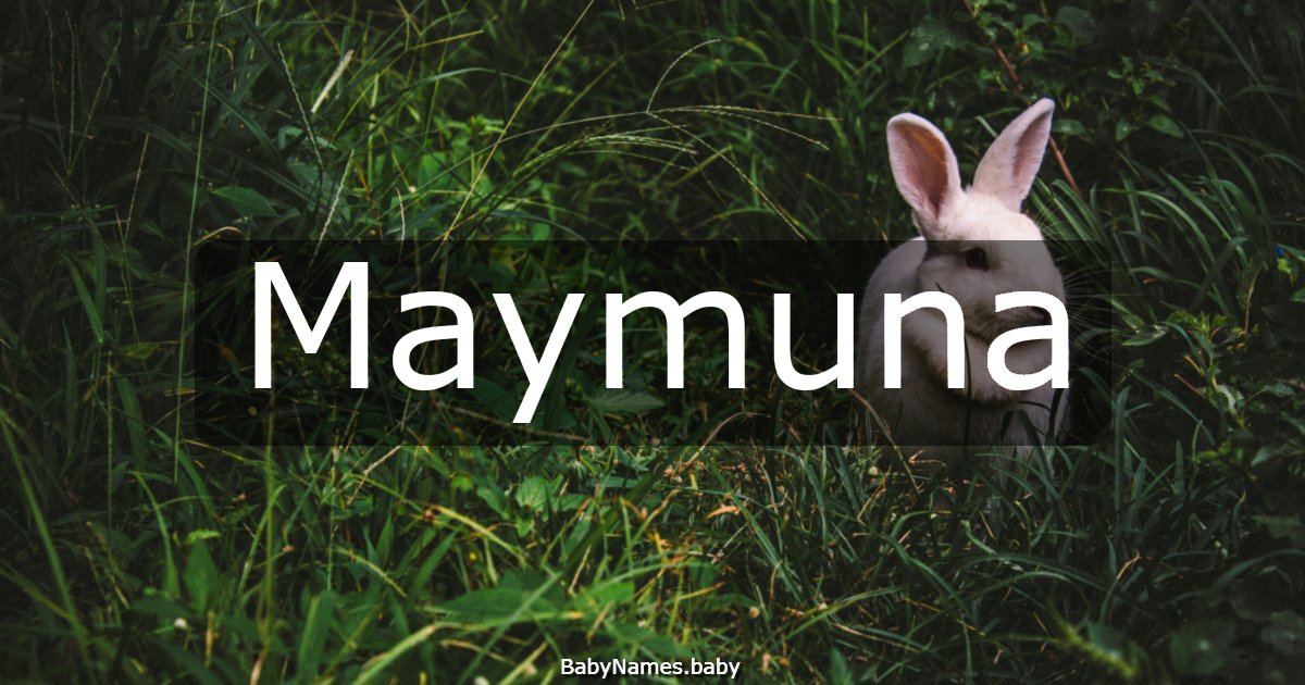 Maymuna