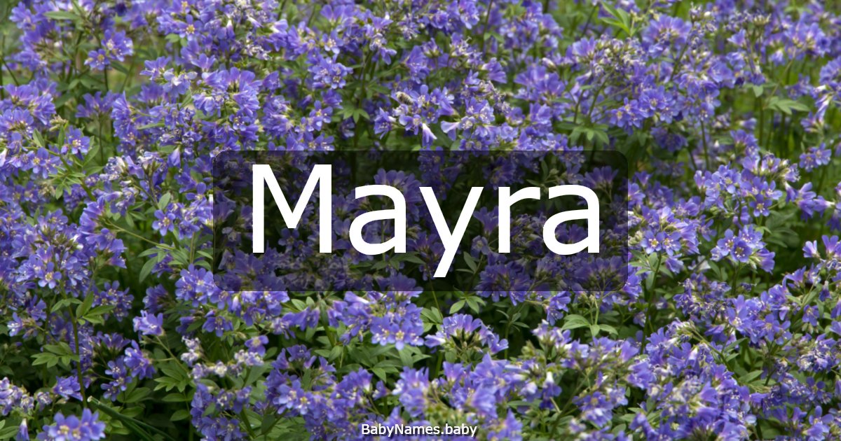 Mayra
