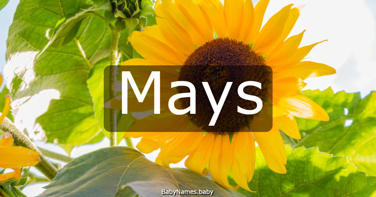 Mays