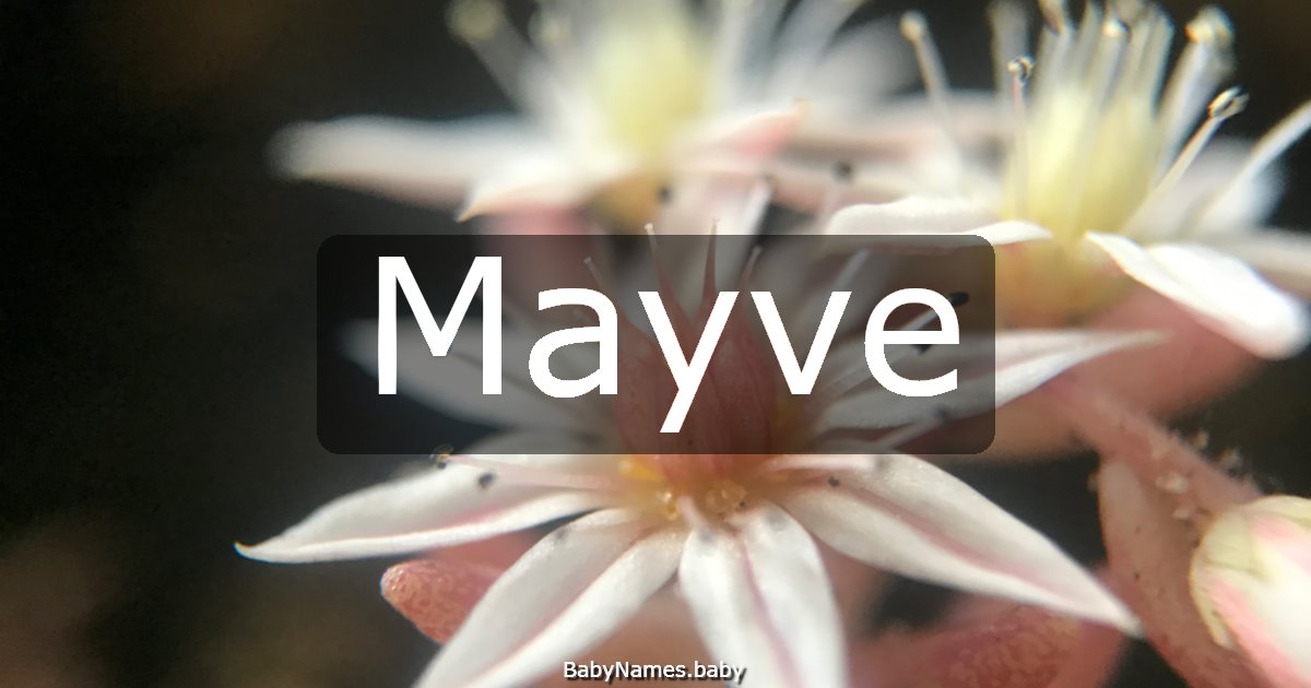 Mayve