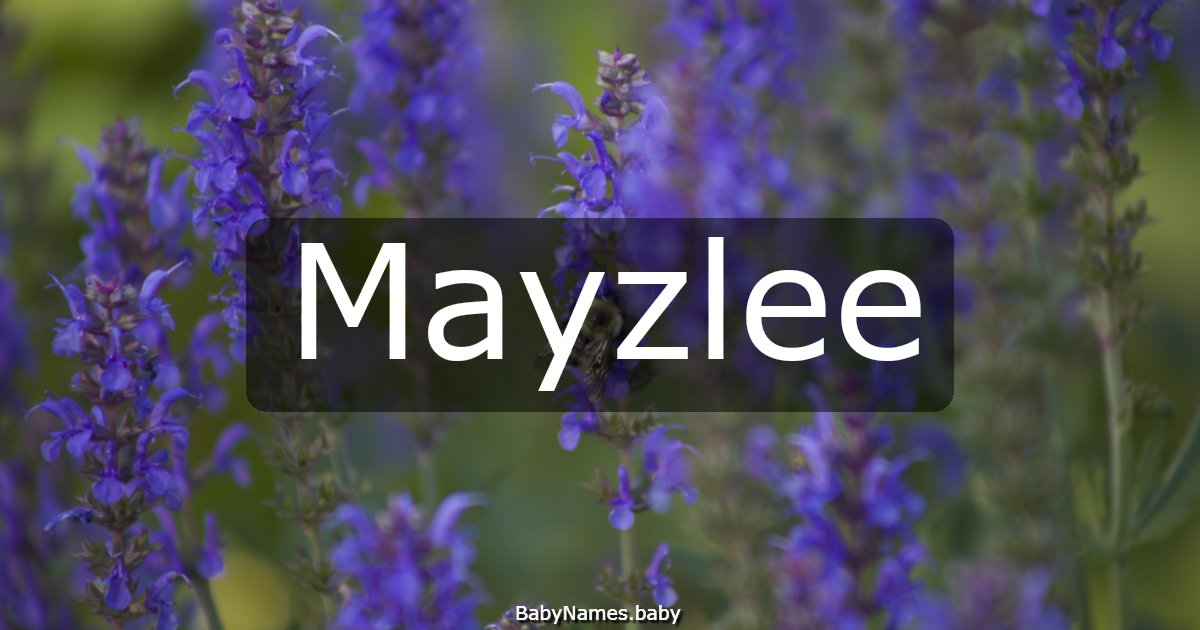 Mayzlee