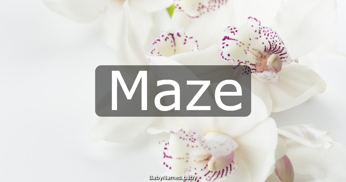 Maze