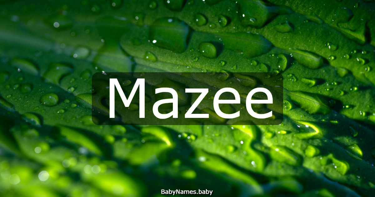 Mazee