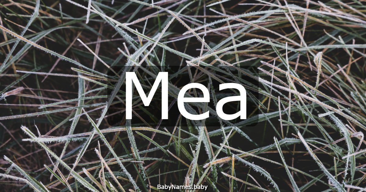Mea