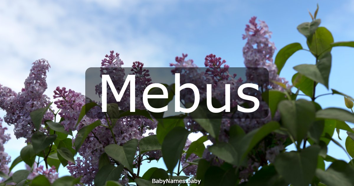 Mebus