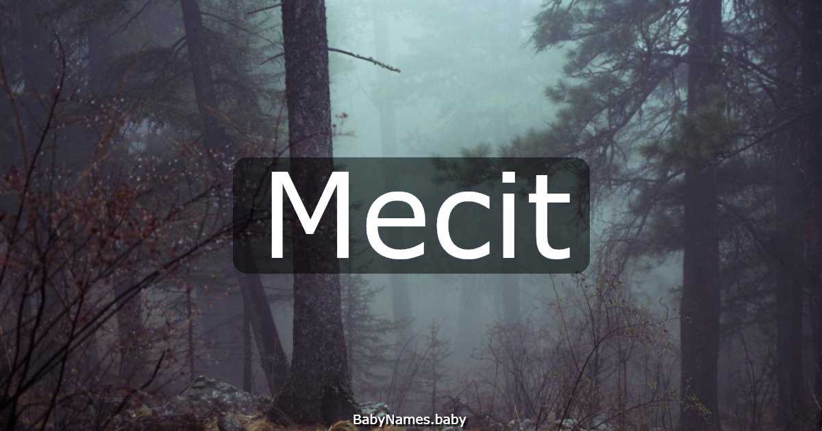 Mecit