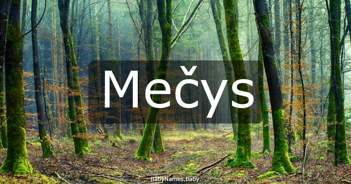 Mečys