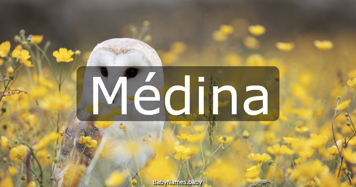 Médina