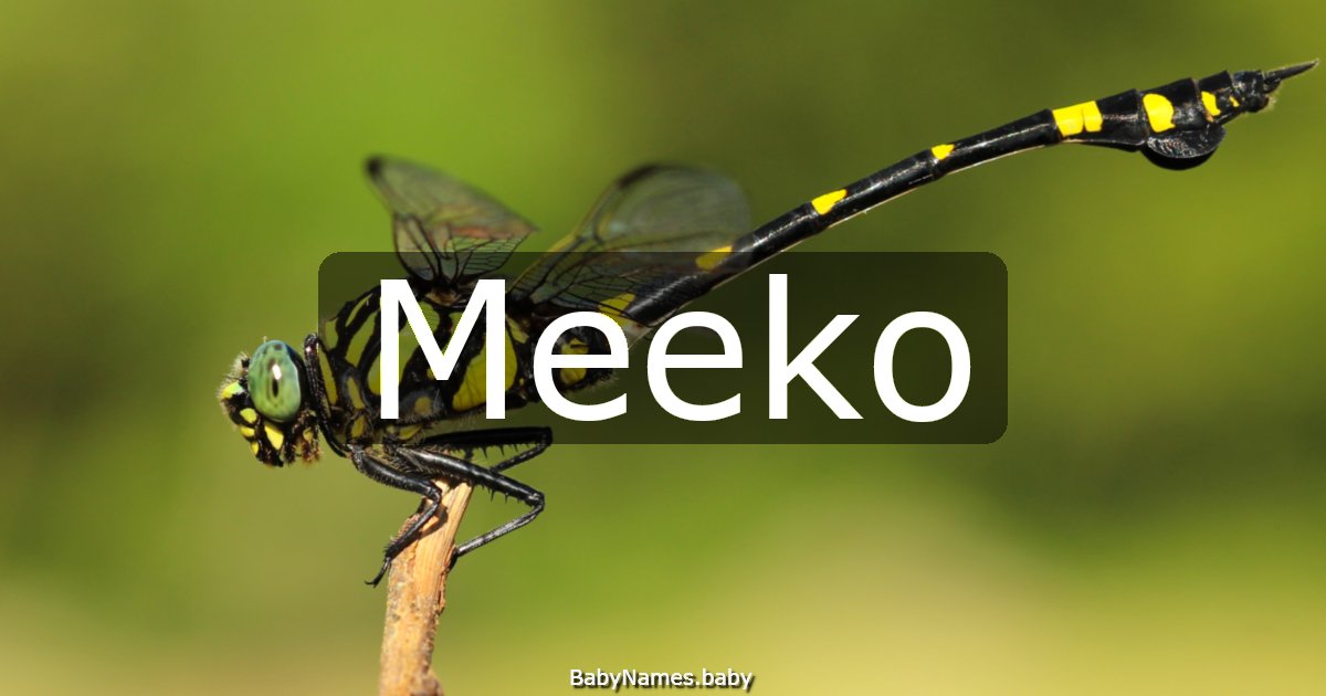 Meeko