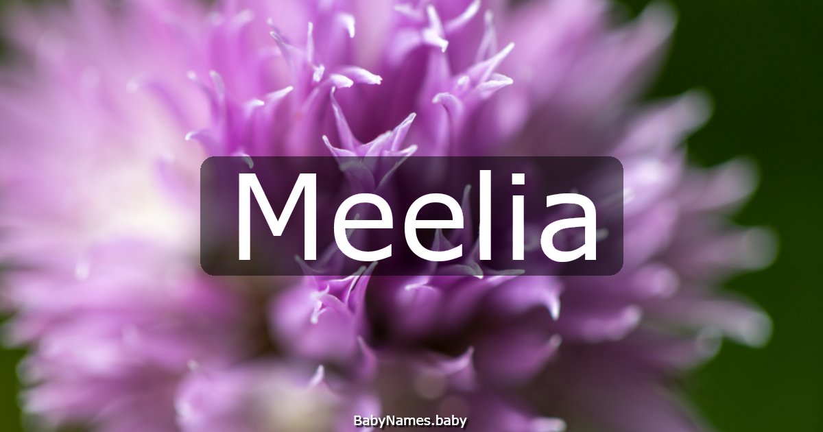 Meelia