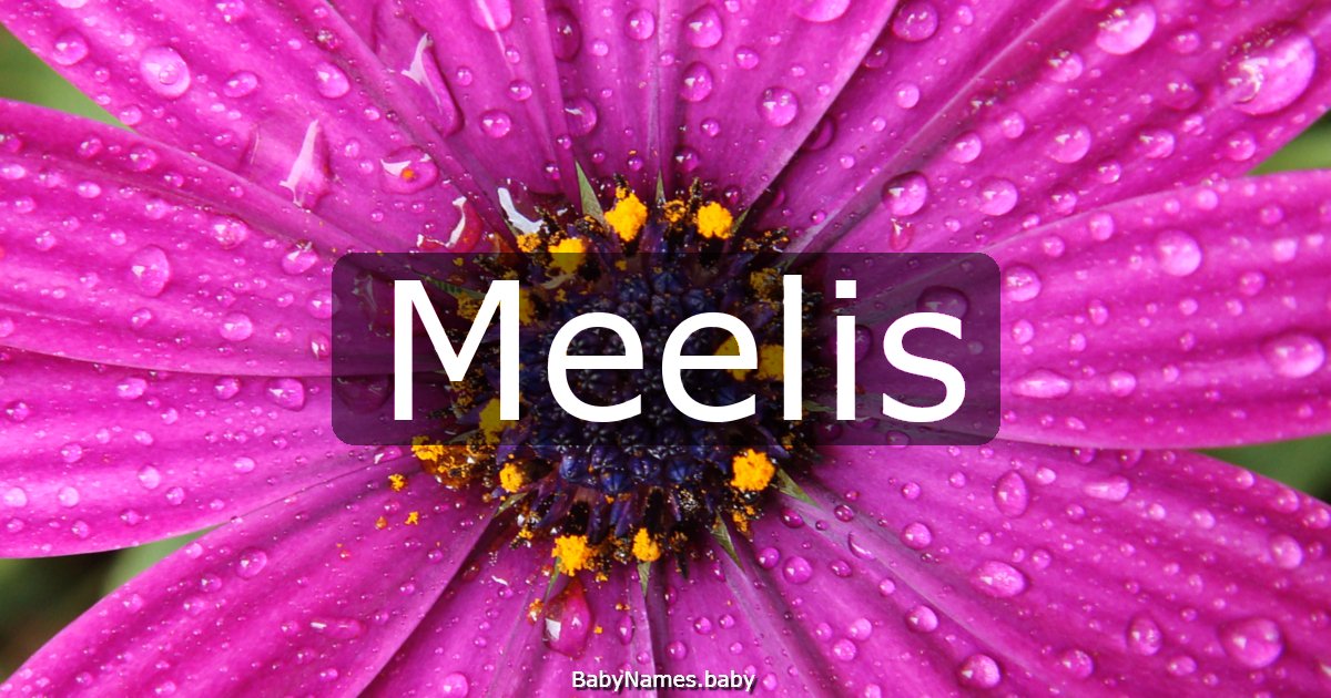 Meelis