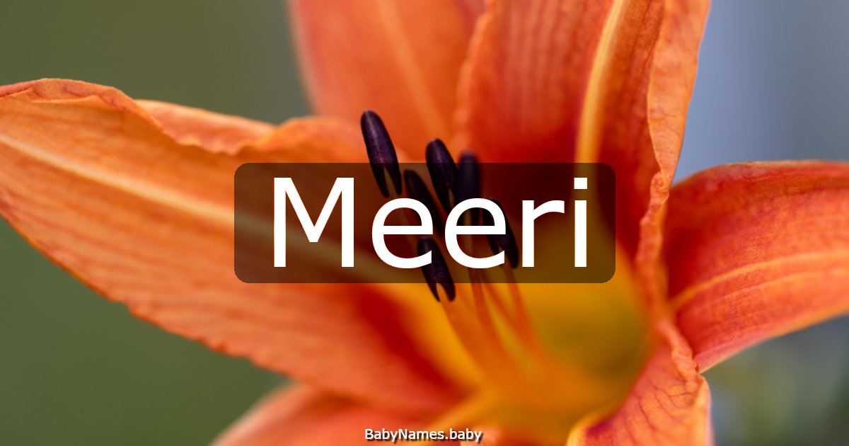 Meeri