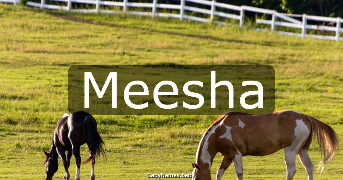 Meesha