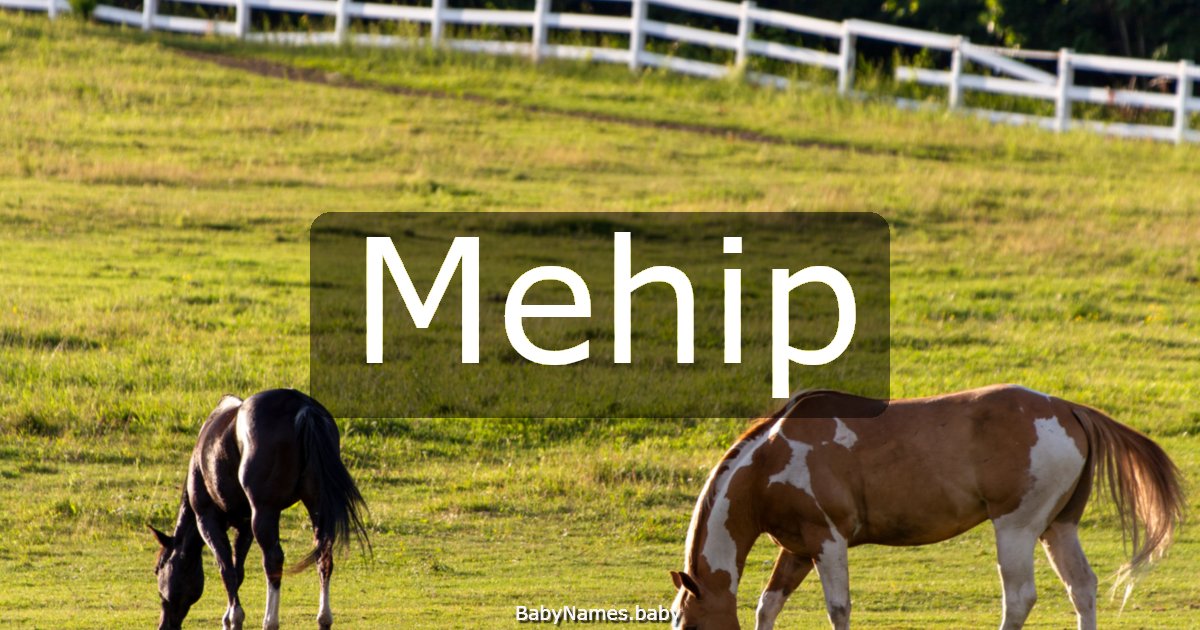 Mehip