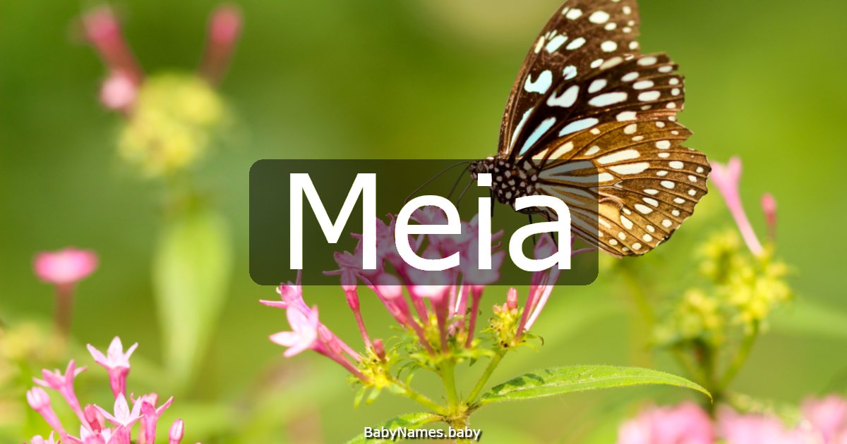 Meia