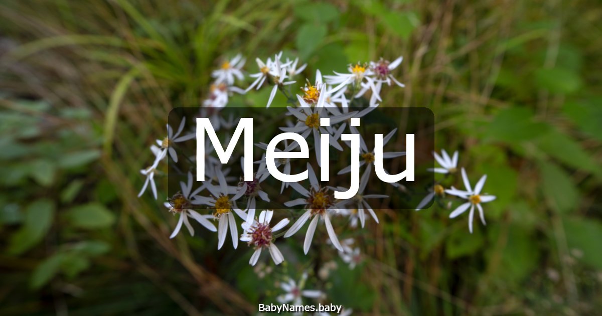 Meiju