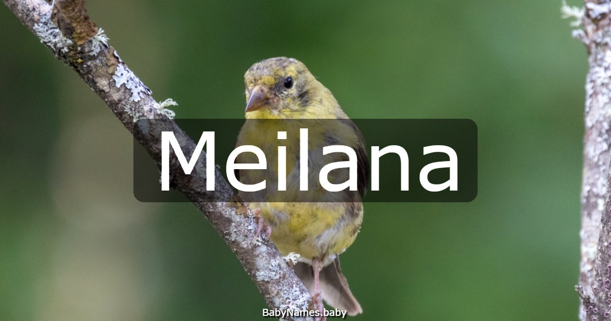 Meilana