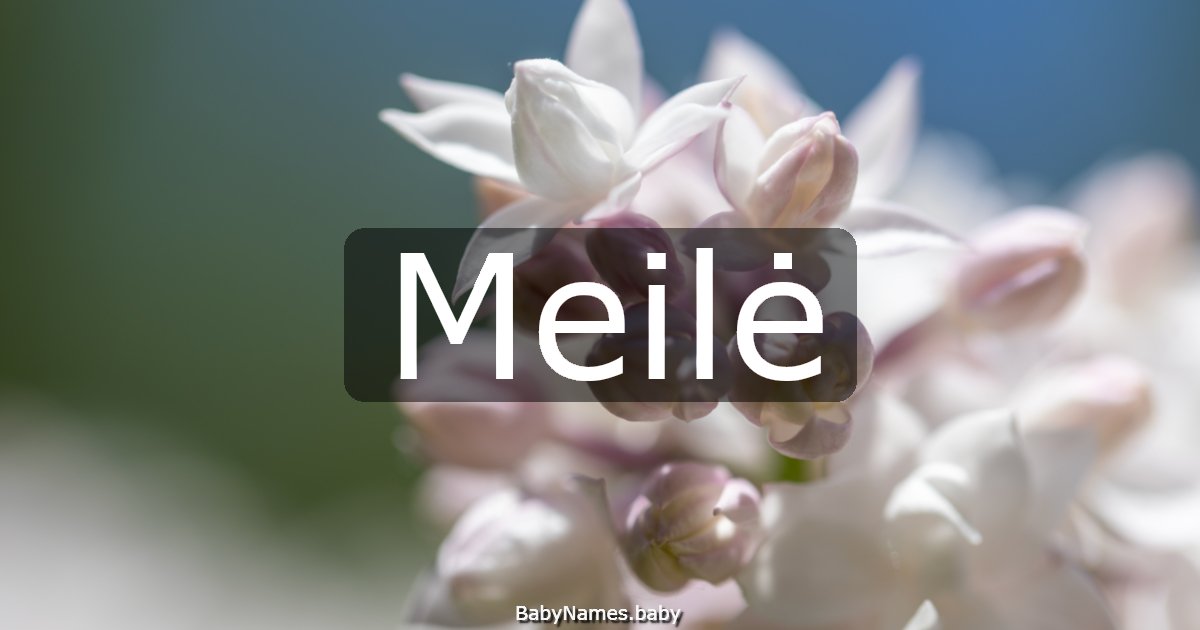 Meilė