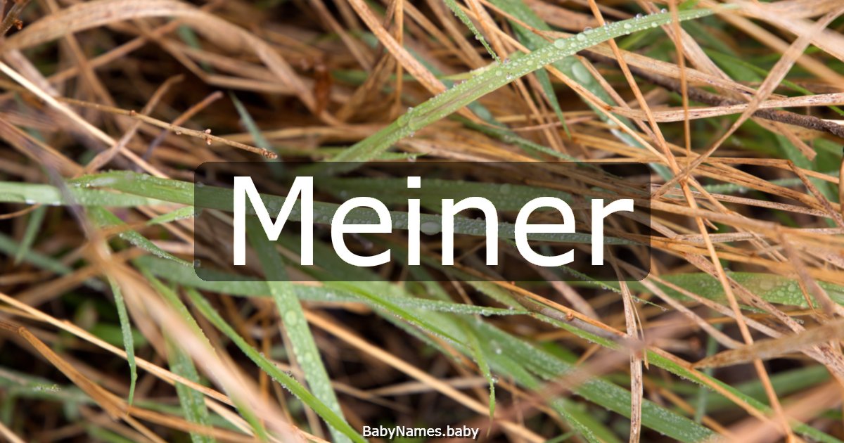 Meiner